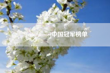 成都中国冠军榜单