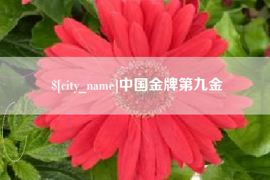 成都中国金牌第九金