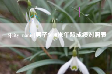 成都男子5000米年龄成绩对照表