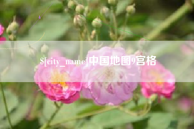 成都中国地图9宫格