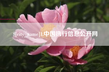 成都1.中国执行信息公开网