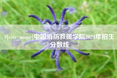 成都中国消防救援学院2024年招生分数线