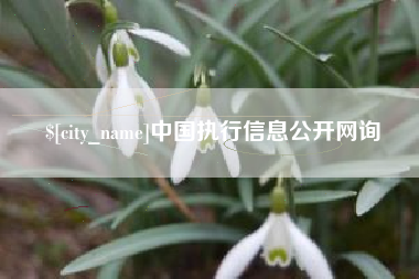 成都中国执行信息公开网询