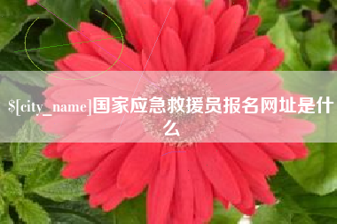 成都国家应急救援员报名网址是什么