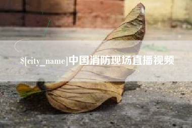 成都中国消防现场直播视频