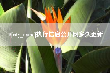 成都执行信息公开网多久更新