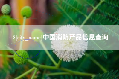 成都中国消防产品信息查询