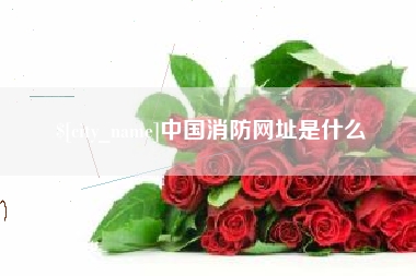 成都中国消防网址是什么