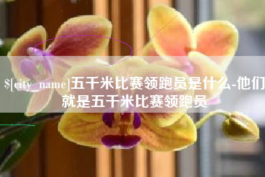 成都五千米比赛领跑员是什么-他们就是五千米比赛领跑员