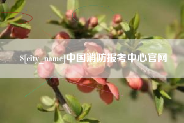 成都中国消防报考中心官网