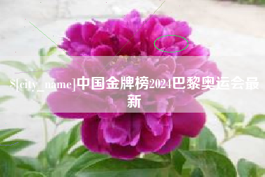 成都中国金牌榜2024巴黎奥运会最新