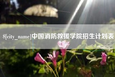 成都中国消防救援学院招生计划表