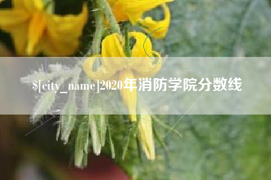成都2020年消防学院分数线