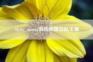成都消防救援总队王星