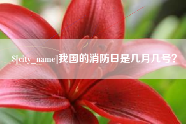 成都我国的消防日是几月几号？