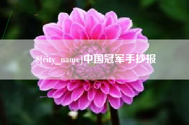 成都中国冠军手抄报