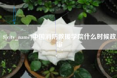 成都中国消防救援学院什么时候政审