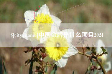 成都中国金牌是什么项目2024
