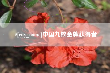 成都中国九枚金牌获得者