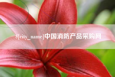 成都中国消防产品采购网