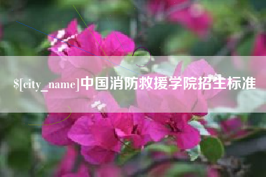 成都中国消防救援学院招生标准