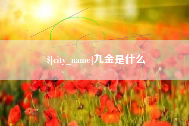 成都九金是什么