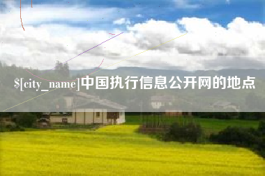 成都中国执行信息公开网的地点
