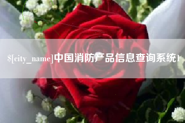成都中国消防产品信息查询系统1
