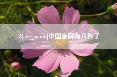 成都中国金牌有几枚了