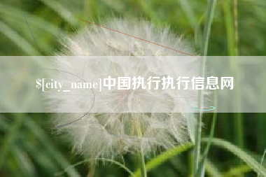 成都中国执行执行信息网