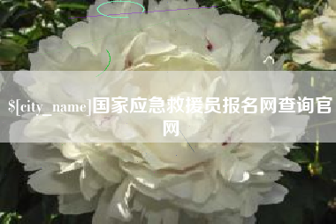 成都国家应急救援员报名网查询官网