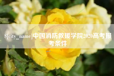 成都中国消防救援学院2020高考报考条件