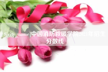 成都中国消防救援学院2021年招生分数线
