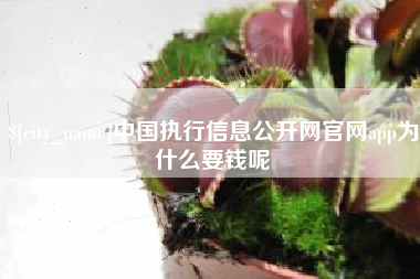 成都中国执行信息公开网官网app为什么要钱呢