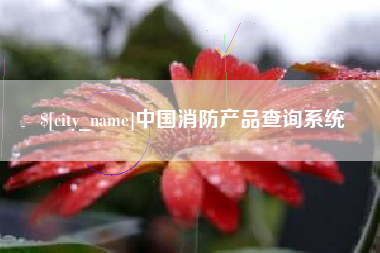 成都中国消防产品查询系统