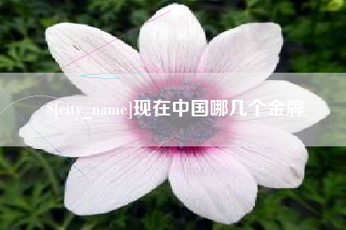 成都现在中国哪几个金牌