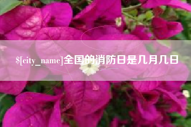 成都全国的消防日是几月几日
