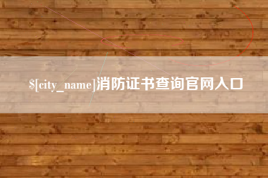 成都消防证书查询官网入口