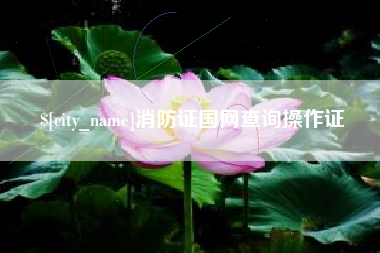 成都消防证国网查询操作证