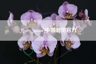 成都中国消防官方