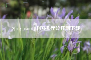 成都中国执行公开网下载