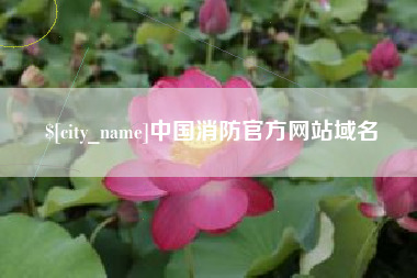 成都中国消防官方网站域名