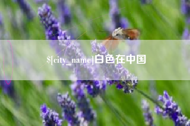 成都白色在中国