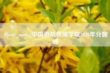 成都中国消防救援学院2020年分数线
