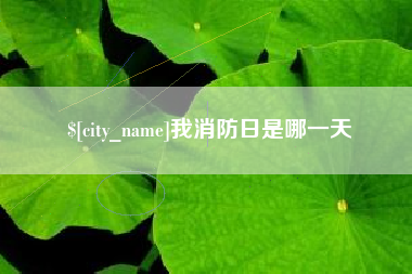 成都我消防日是哪一天