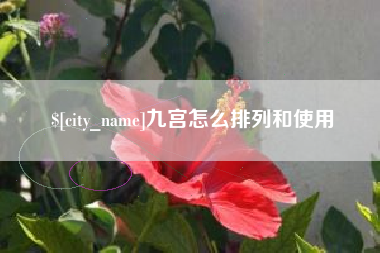 成都九宫怎么排列和使用