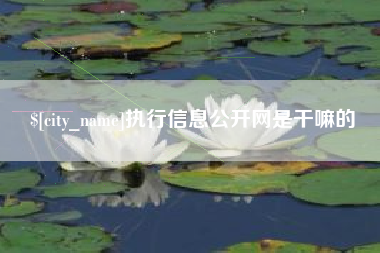 成都执行信息公开网是干嘛的