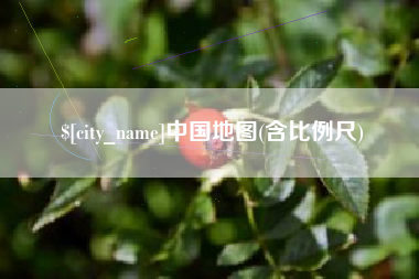 成都中国地图(含比例尺)