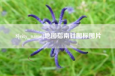 成都地图指南针图标图片