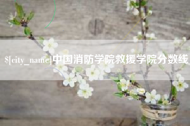 成都中国消防学院救援学院分数线